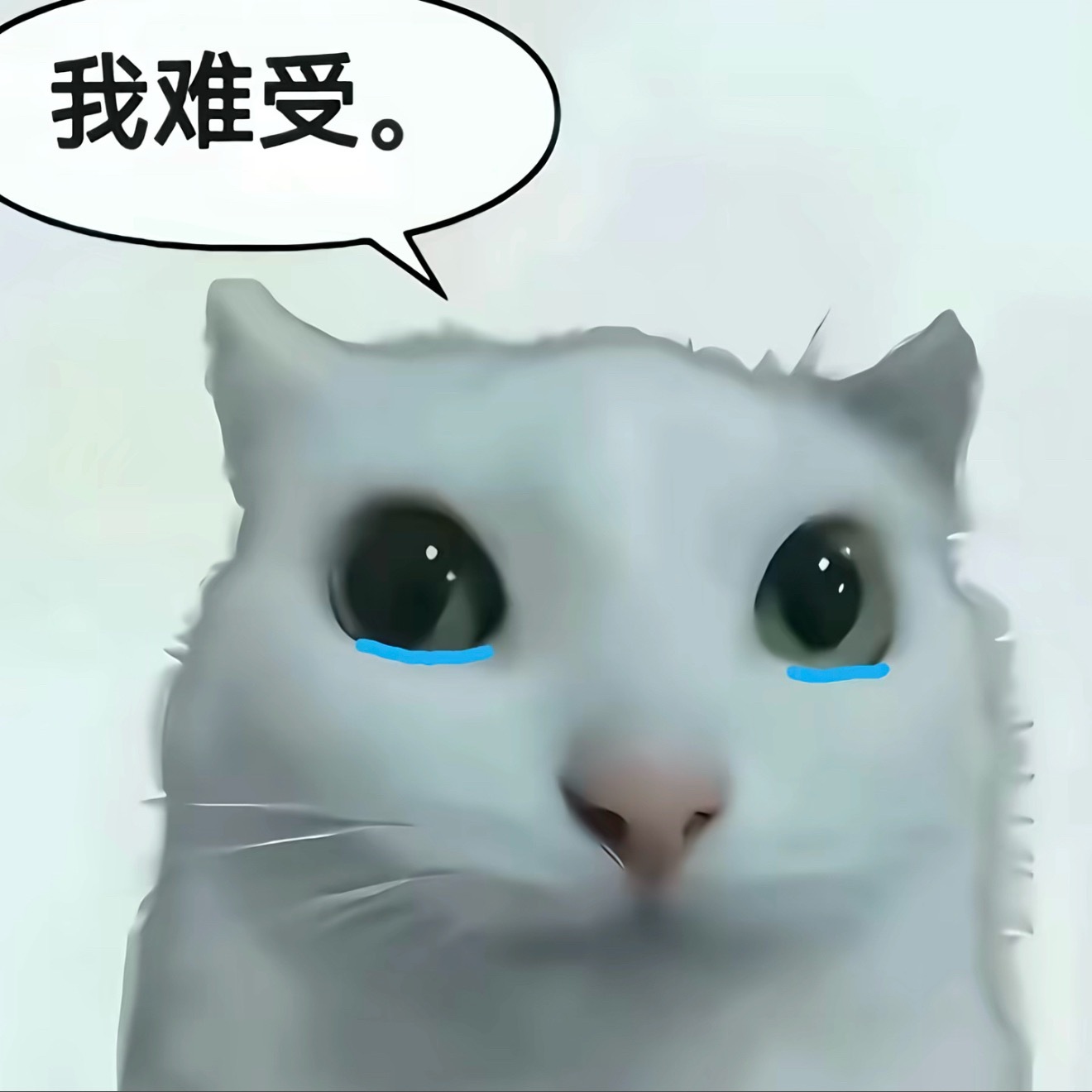 不会再笑了，人与人之间根本没有信任，只有尖酸刻薄尔虞我诈自私自利两面三刀蛇蝎心肠
