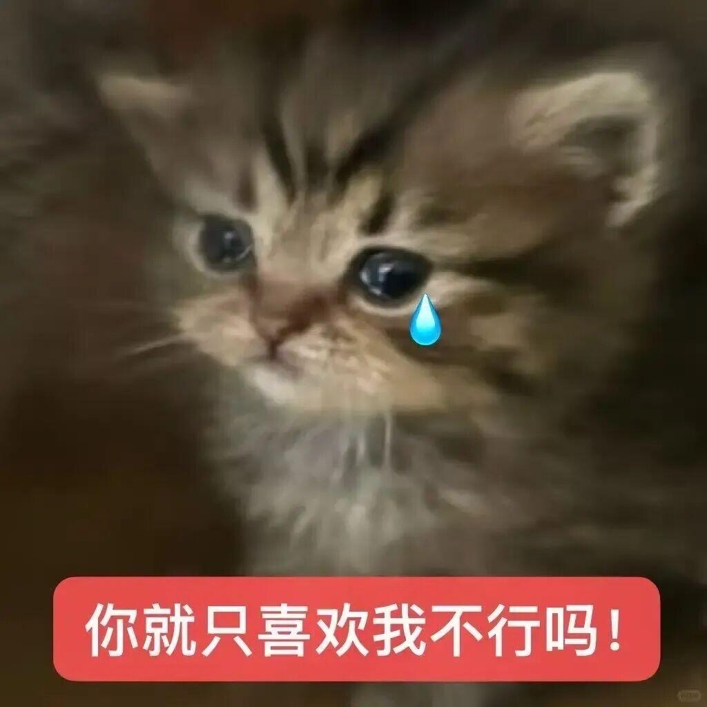 盛夏壁纸大放送动漫仲夏狂欢季咪不懂≽^•༚• ྀི≼ 