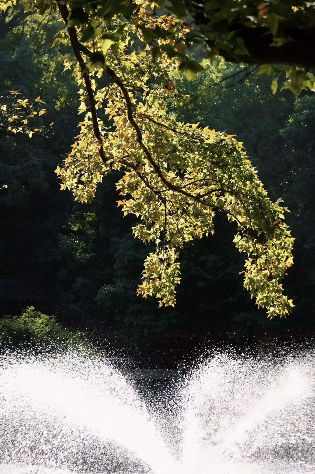 【人不争，一身轻松，事不比，一路畅通】
        人不争，一身轻松，事不比