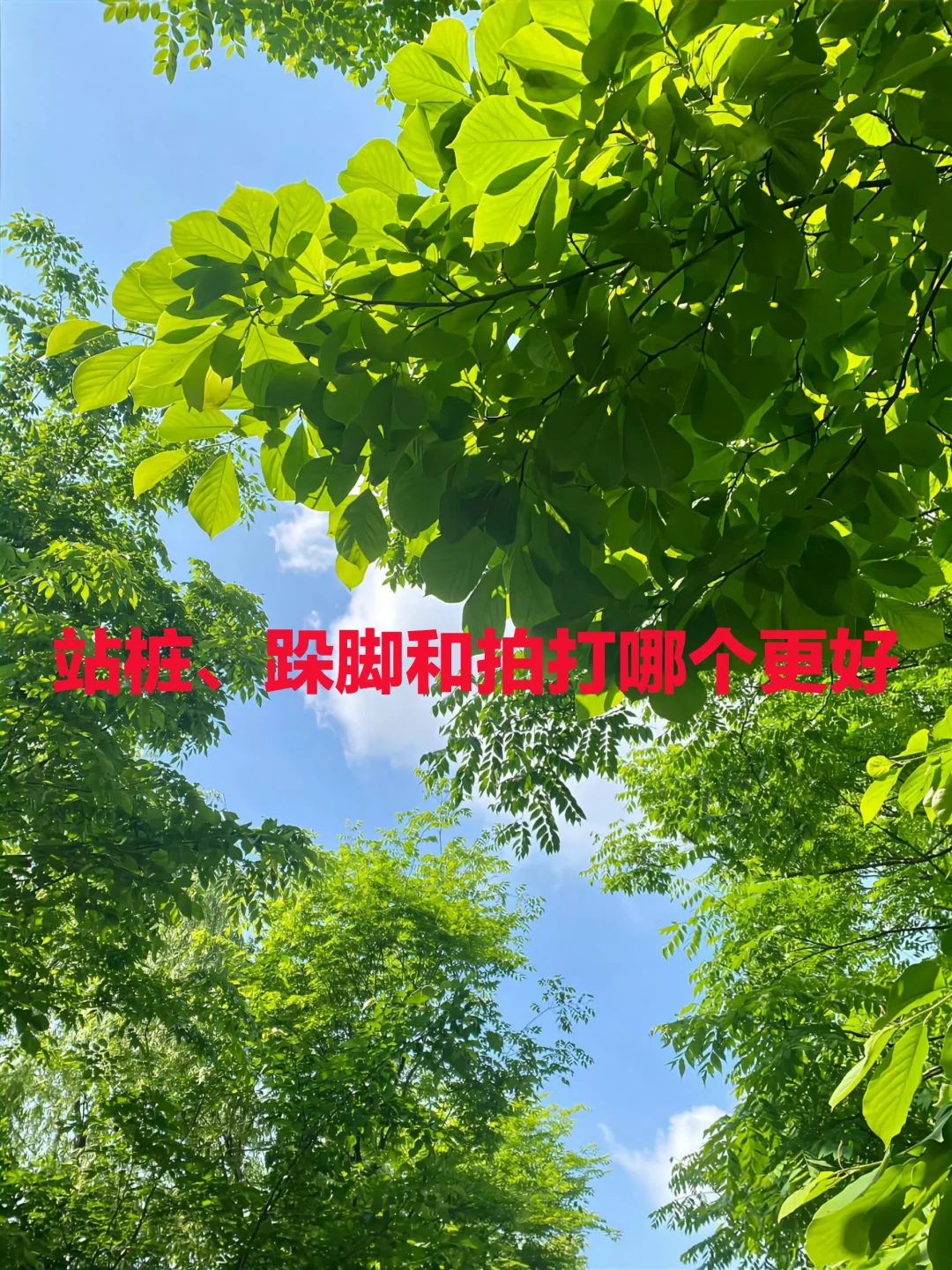 站桩、跺脚和拍打哪个更好