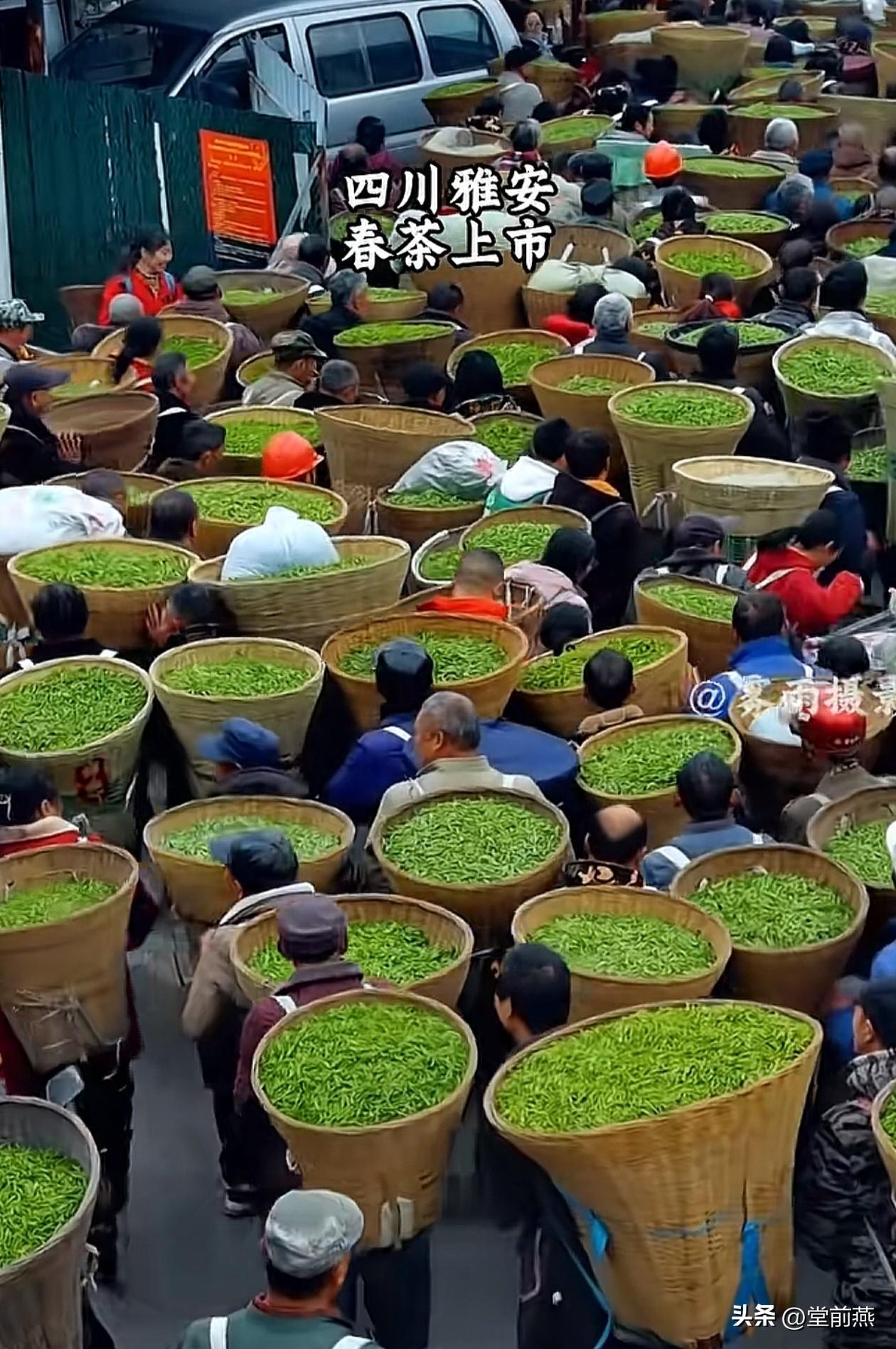 有没有农产品的茶叶期货，今年四川的春茶大丰收，到处是刚刚上市的绿茶，卖茶叶的卖疯