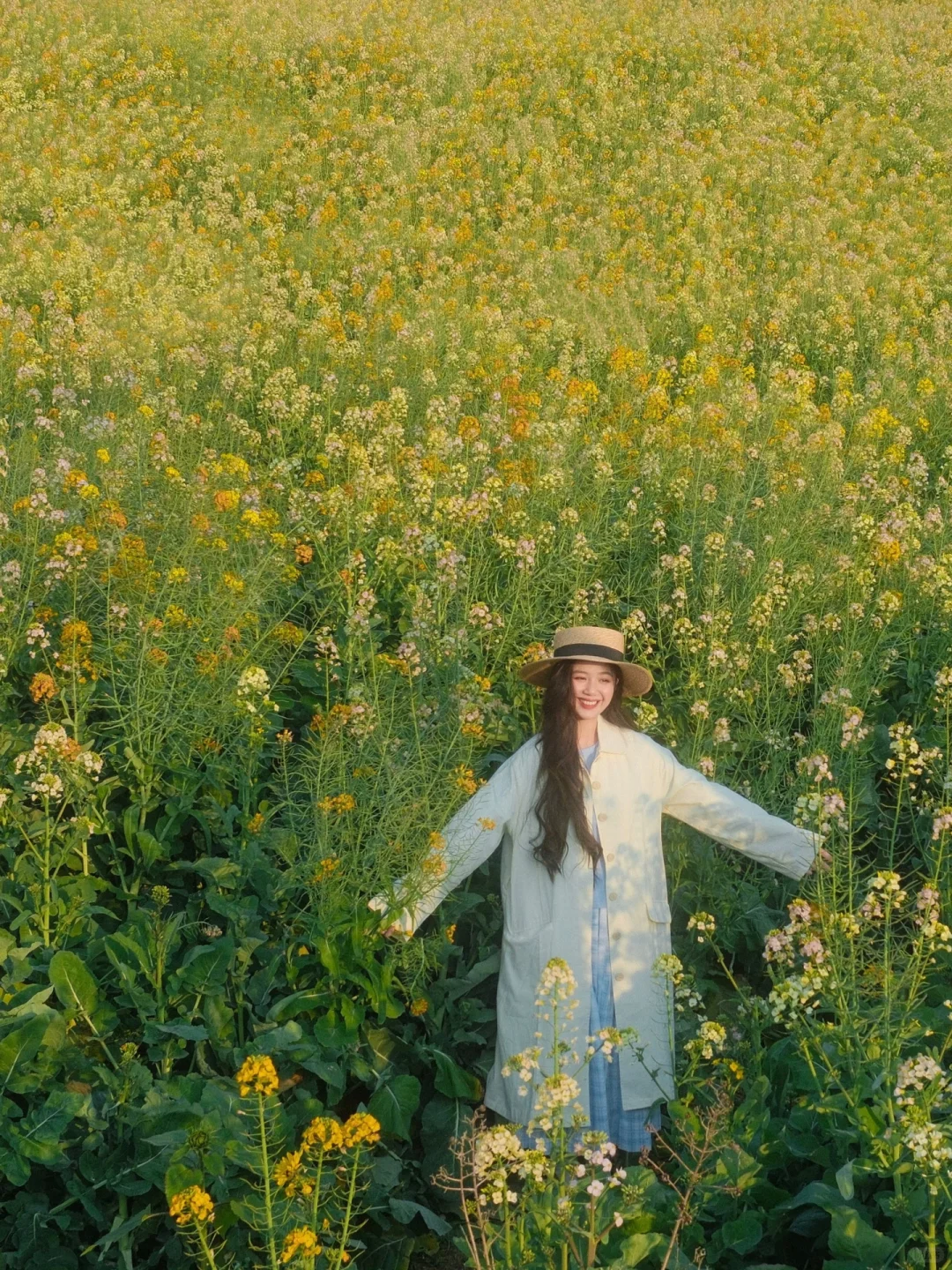 我和春天都在等你 油菜花限定🌼