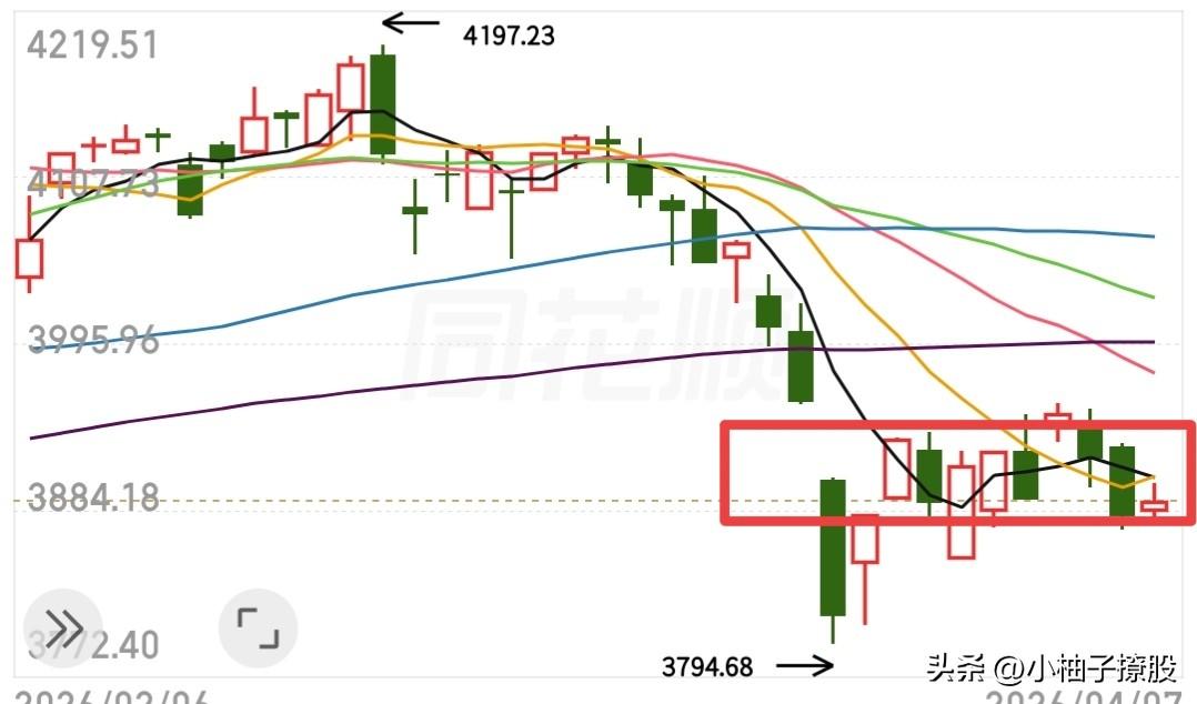 今天就看看大盘会不会站上10日线了！

我们的预期就是今天大盘阳线收尾，站上十日