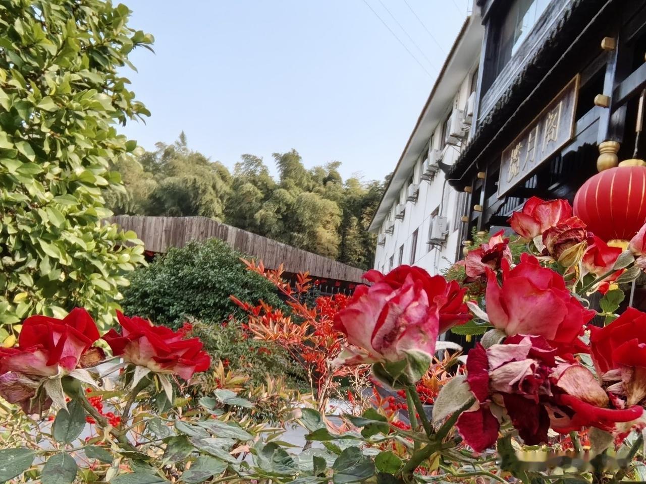 没想到这儿的客栈还挺漂亮，今天我们来到二伯父家大堂哥的客栈。

知道大堂哥事业有