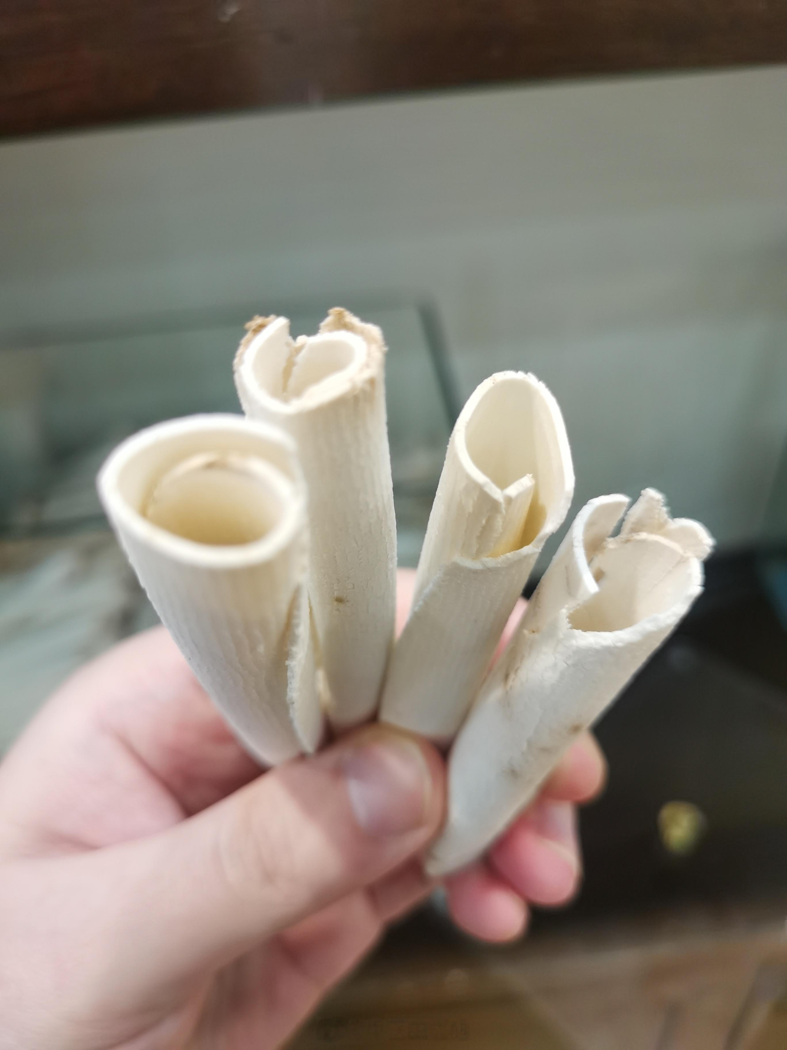 #中医# 药艰不拆，连医馆的茯苓都变成茯苓卷了……真的是太卷了[裂开][裂开] 