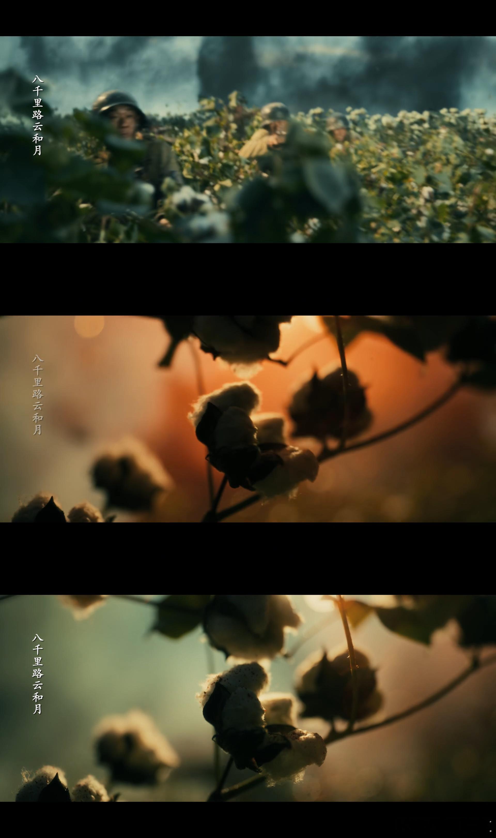 八千里路云和月 棉花地战场电视剧八千里路云和月 谁看了棉花地战场那段不破防啊，本
