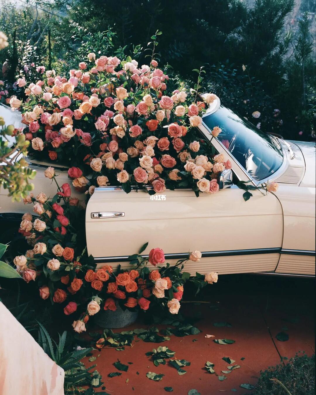 审美提升|每天认识一位摄影大师204