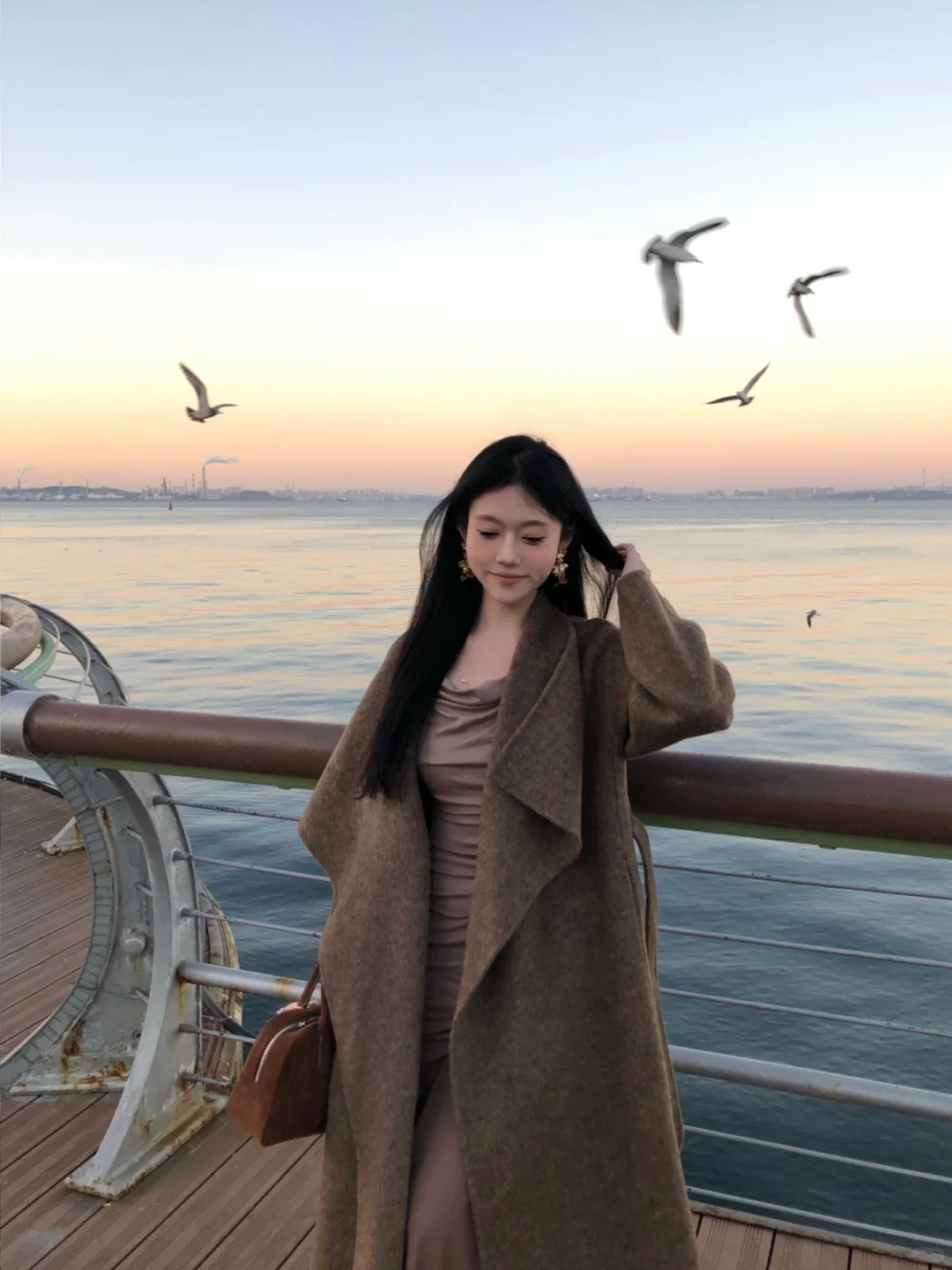 海鸥不再眷恋大海🕊️