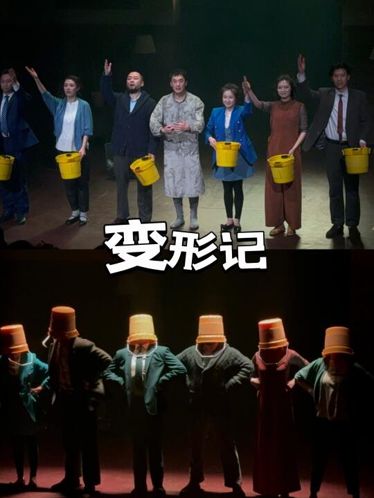 《变形记》惊艳到我了！