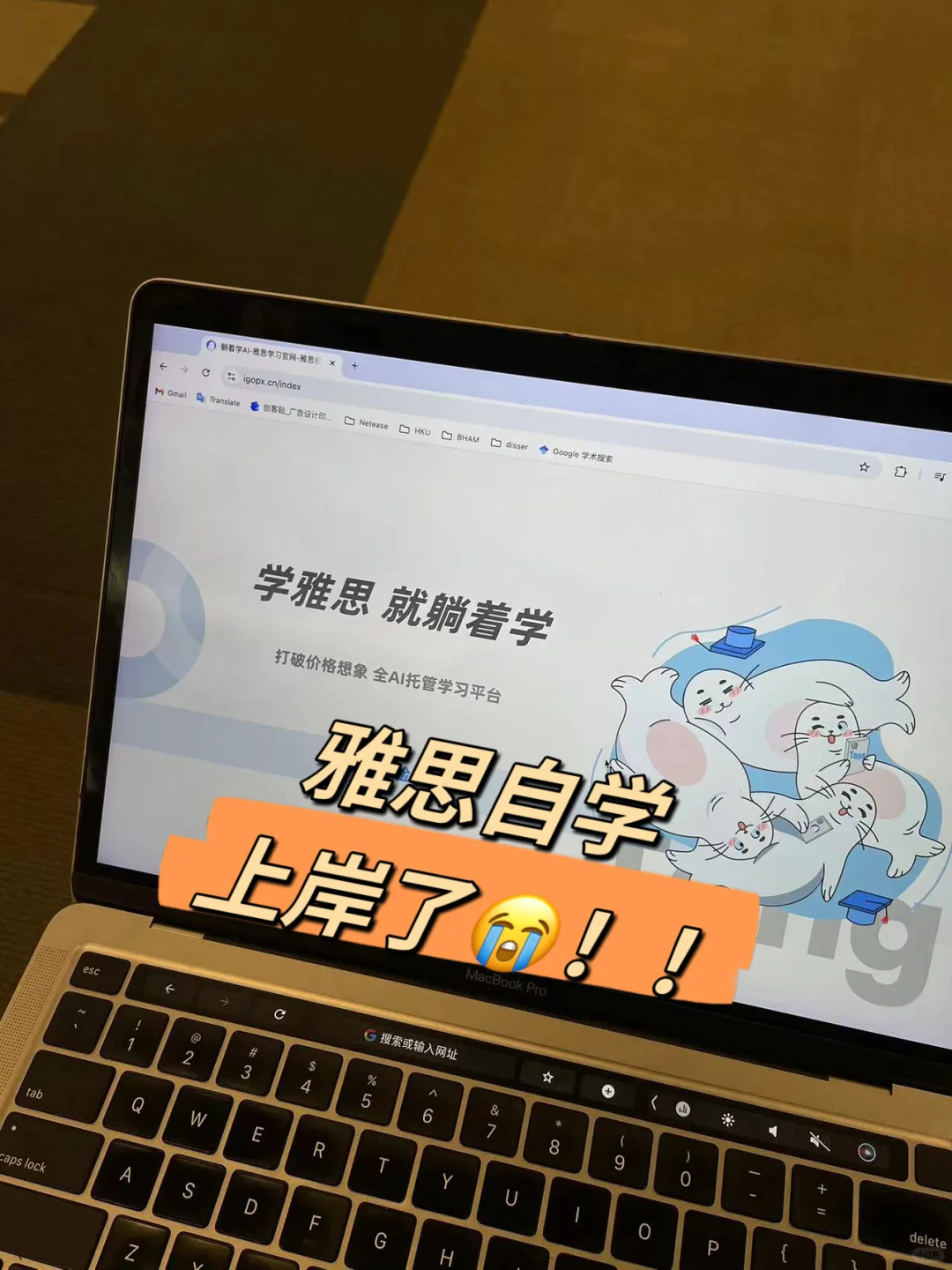 雅思自学神器…是谁还不知道….