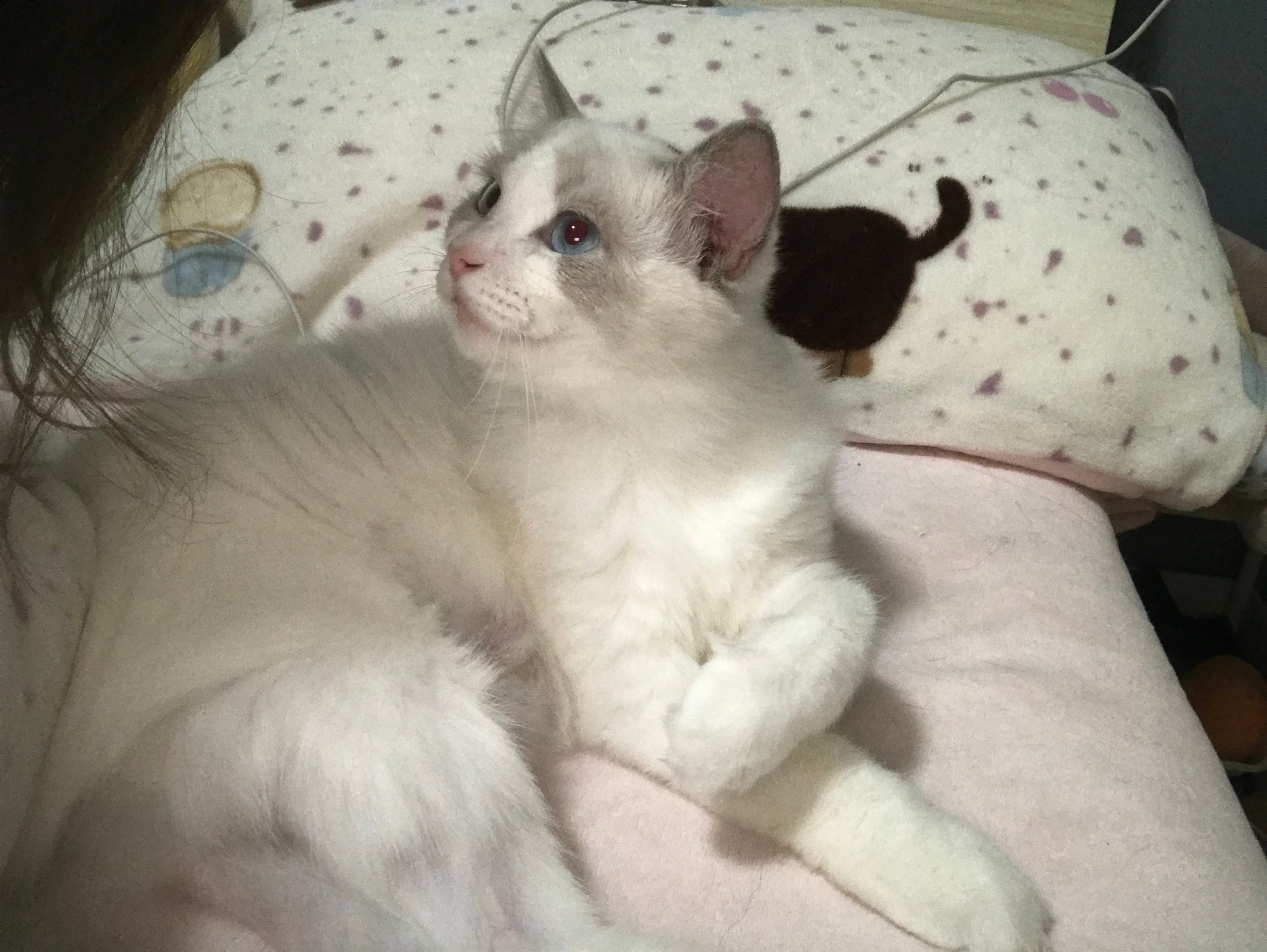 你们根本不知道我每天早上要有多大的毅力才能起床