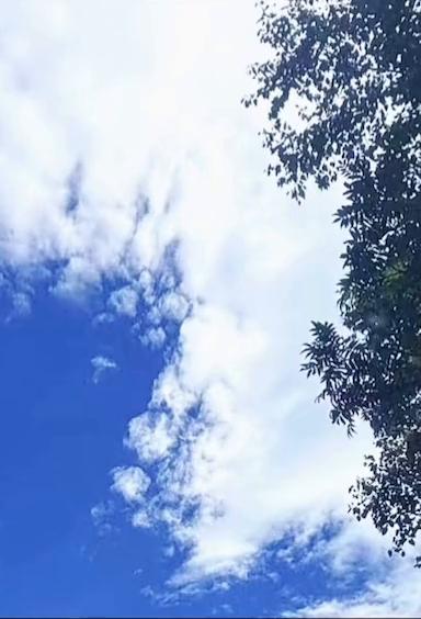 优质的男人越看重女人哪方面的价值吗？
你们记住，层次低的男人是身体欲望的动物，而