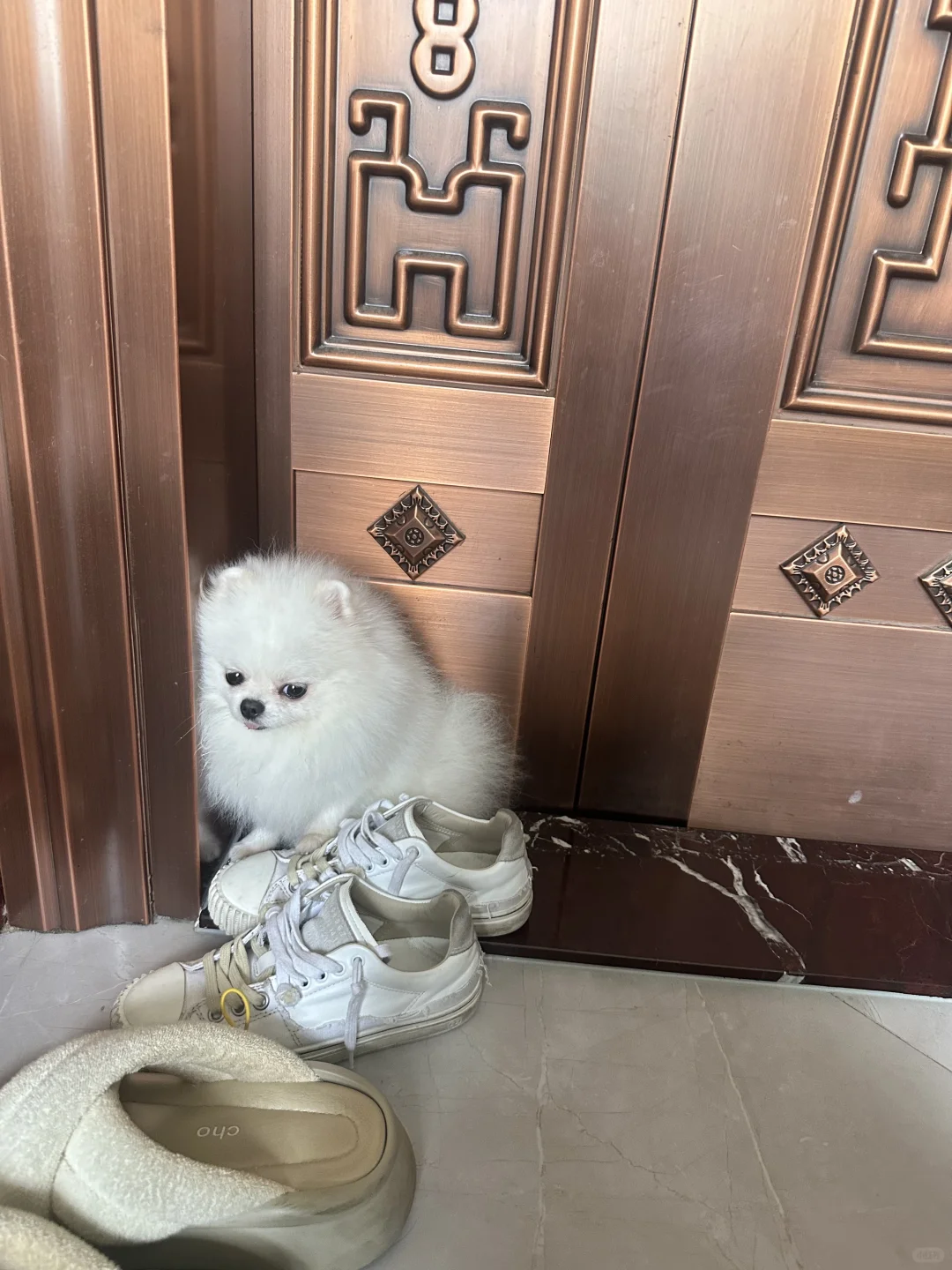 宝宝很委屈 但宝宝不说っ ̯ -｡