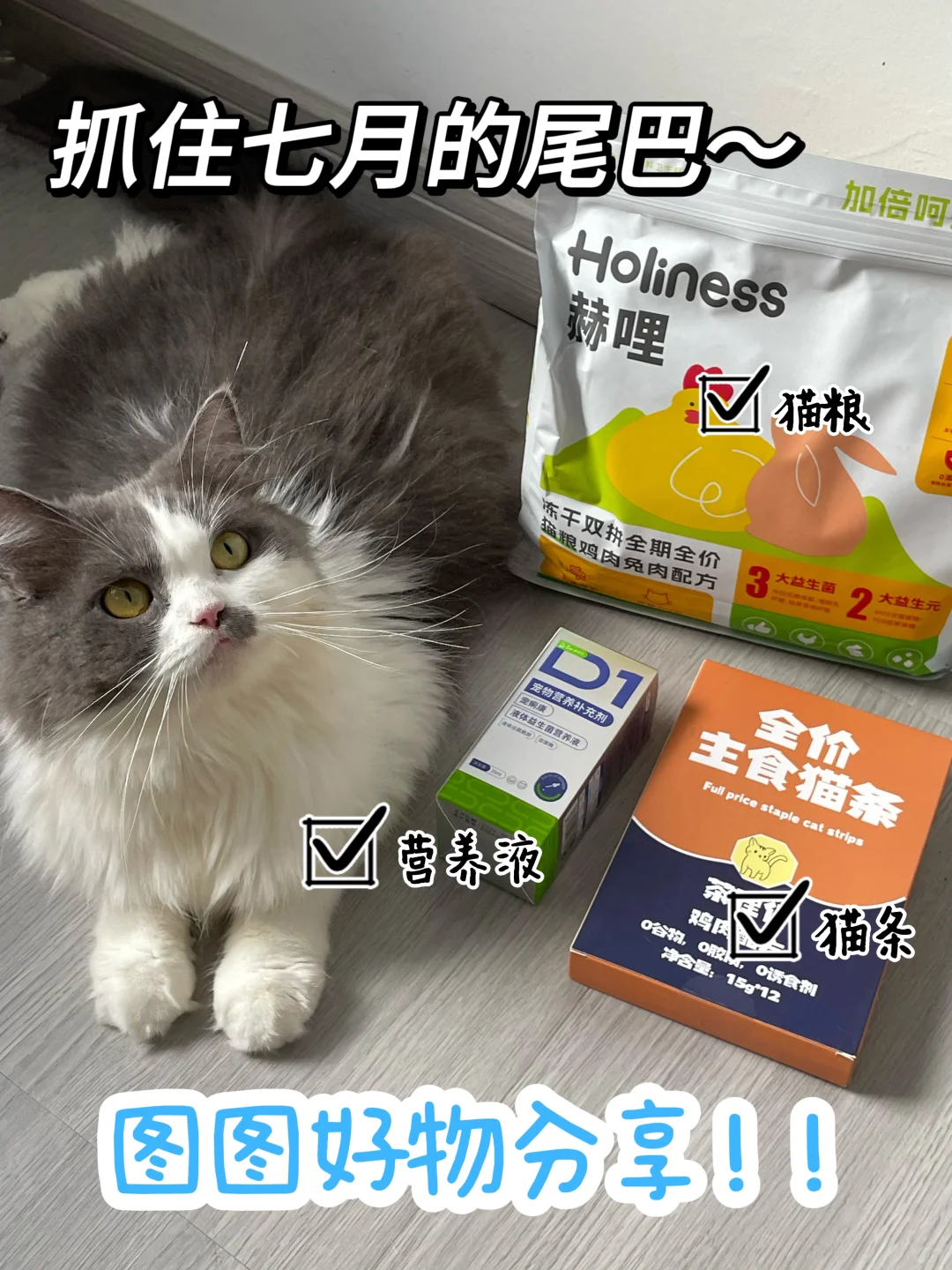 🐈抓住七月的尾巴｜图图的好物分享