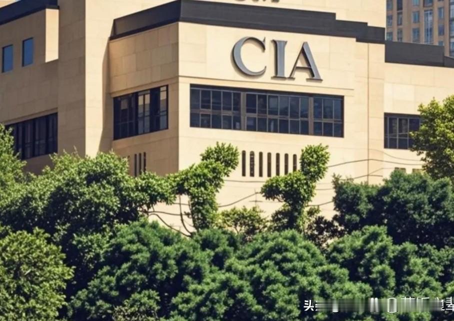 不得不承认，美国的情报能力是惊人的，每次都能准确判断事情的发生，这可不是偶然的。