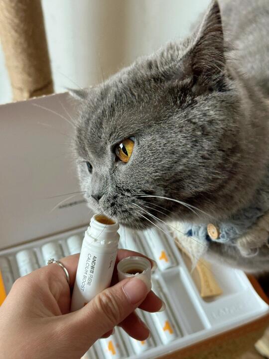 3款好物让崽健康又黏人