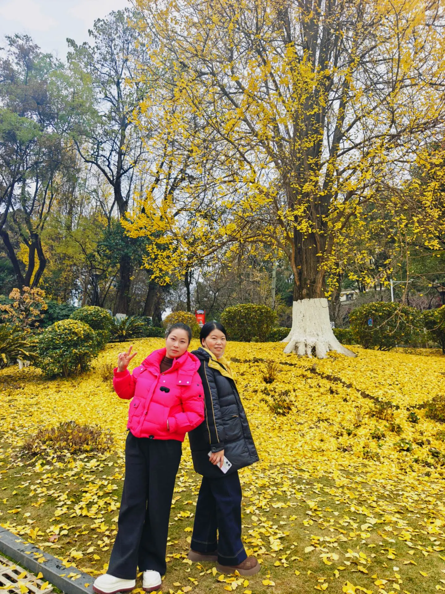 今天是12月31日星期二，也是2024年的最后一天，早安，要跟2024...