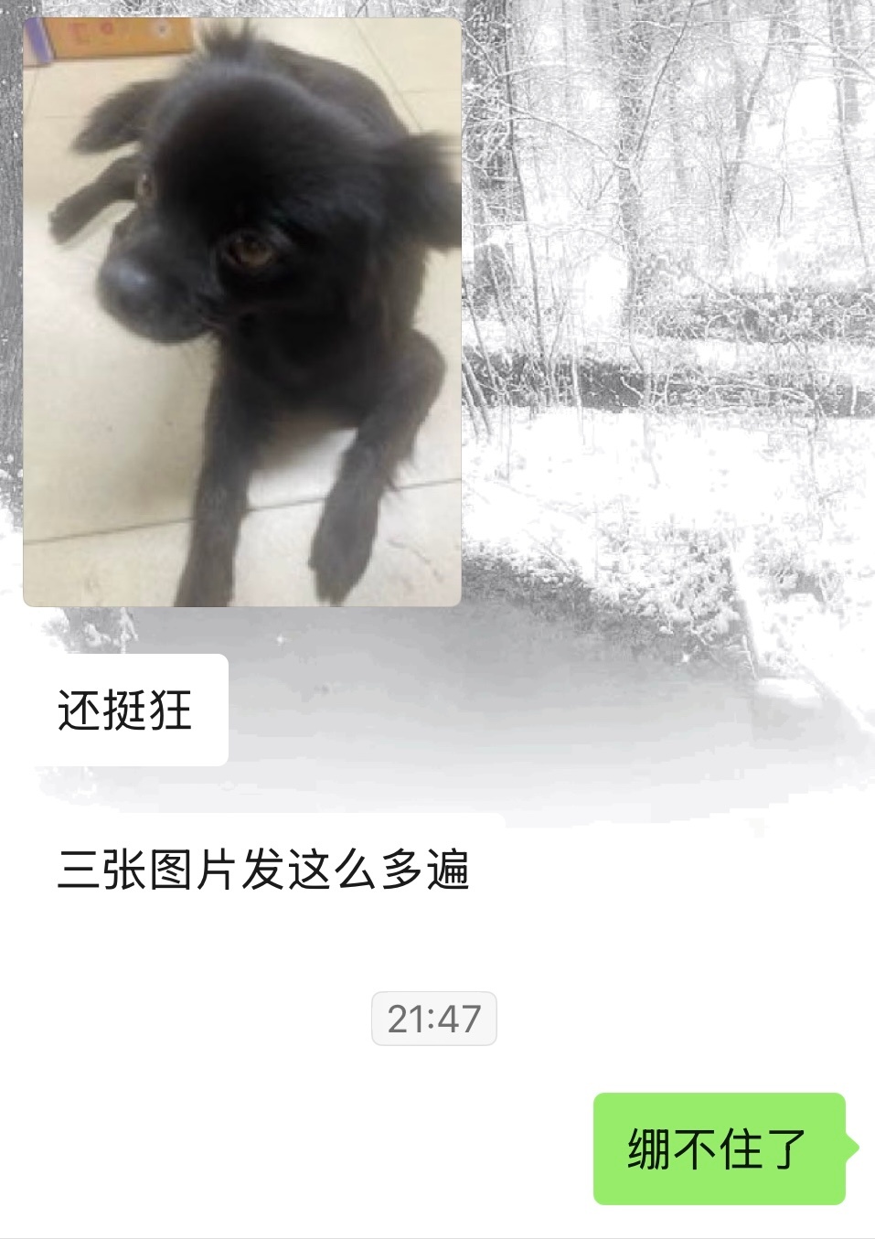 我不行了 