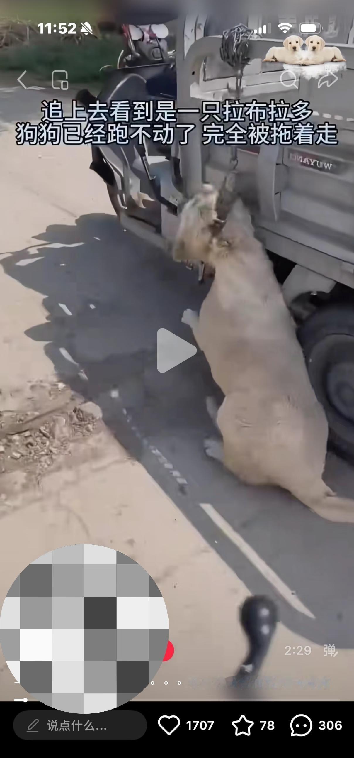 就这种摆拍的救助视频千万别上当啊
还让人在上捐钱，捐一个100块，你想想，一万人