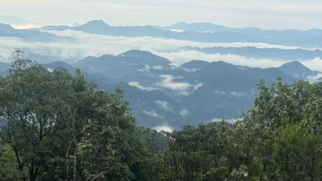 目标、方法、专注、复盘、差异化 & 批判 广州·广州紫微天文台