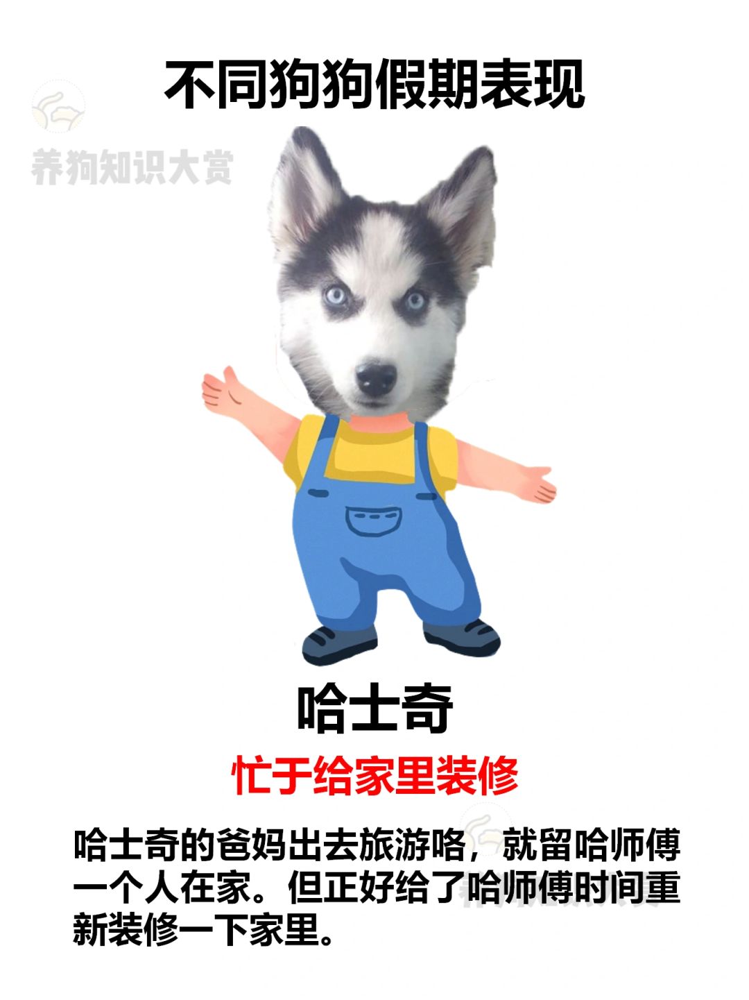 不同狗狗国庆假期表现
