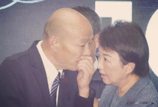 卢秀燕力挺韩国瑜访美，外界热议2028选举韩卢搭配存在可能性！近期，岛内有两件事