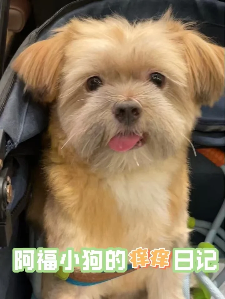 皮肤病真的🥲防不胜防
