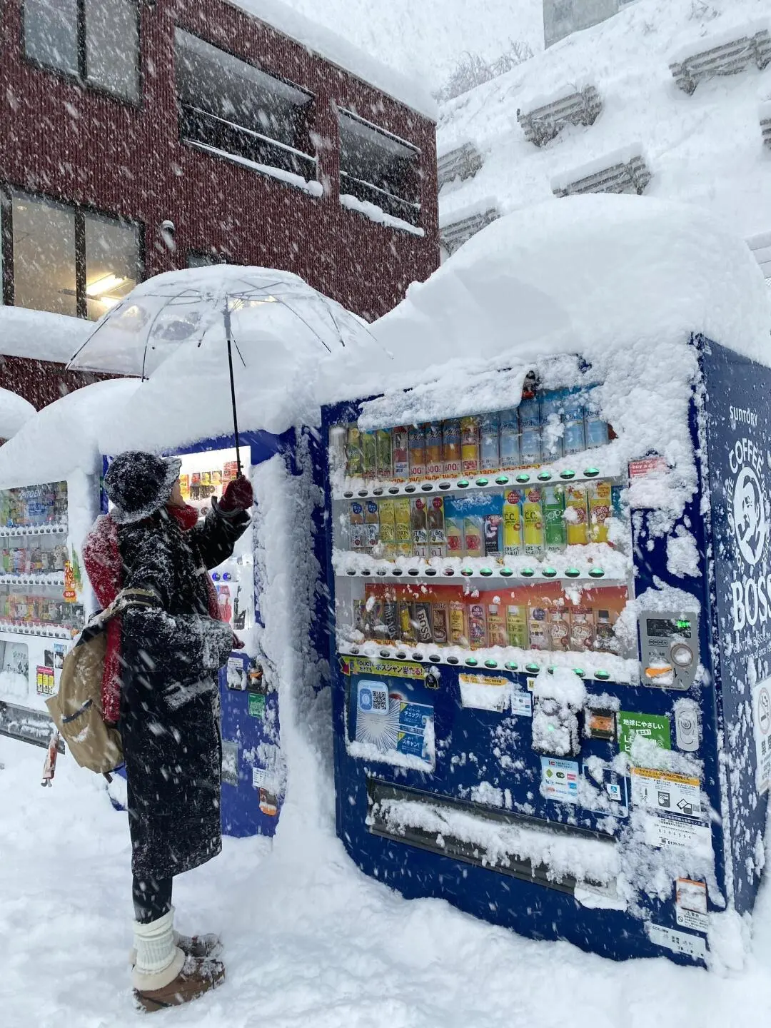 北海道冬日必游清单：雪地奇缘与温泉秘境