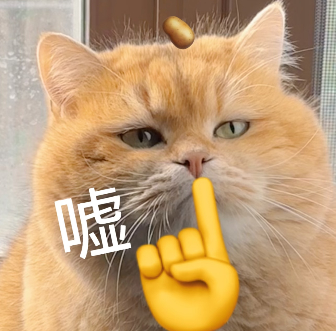 内鱼美妆品牌代言费给的肯定很足吧？要不然怎么能团队全网下场这么破防造谣……颜值气