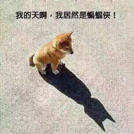 我的天啊，我居然是蝙蝠侠 