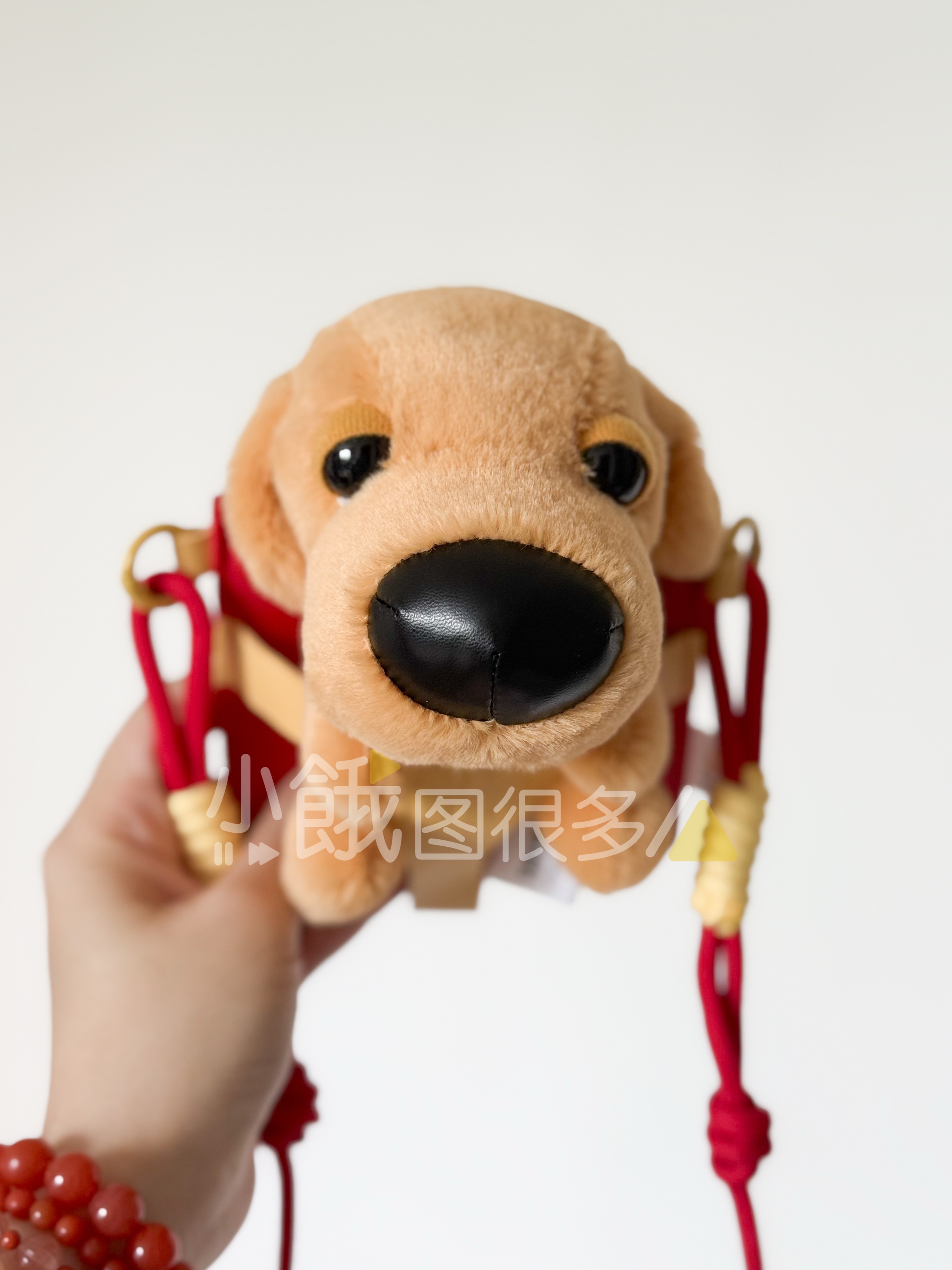还没睡醒就抢下了家门口麦麦的小鸡毛，太可爱了[抱一抱] ​​​