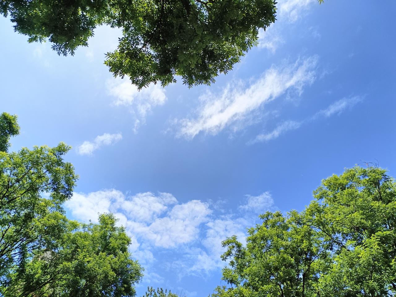 清晨细雨淅沥，氤氲微凉；转瞬午后晴日暖阳，蓝天白云澄澈明朗。
世事本就瞬息万变，