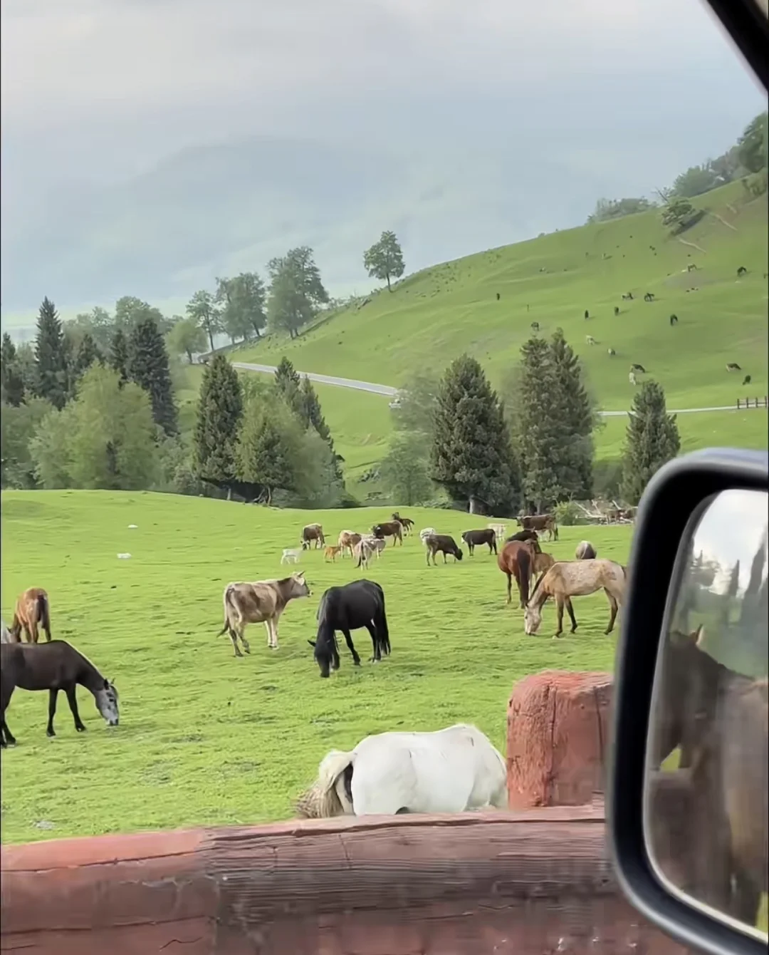 任何“考试”考公考研跨越阶级最后都是拼气血