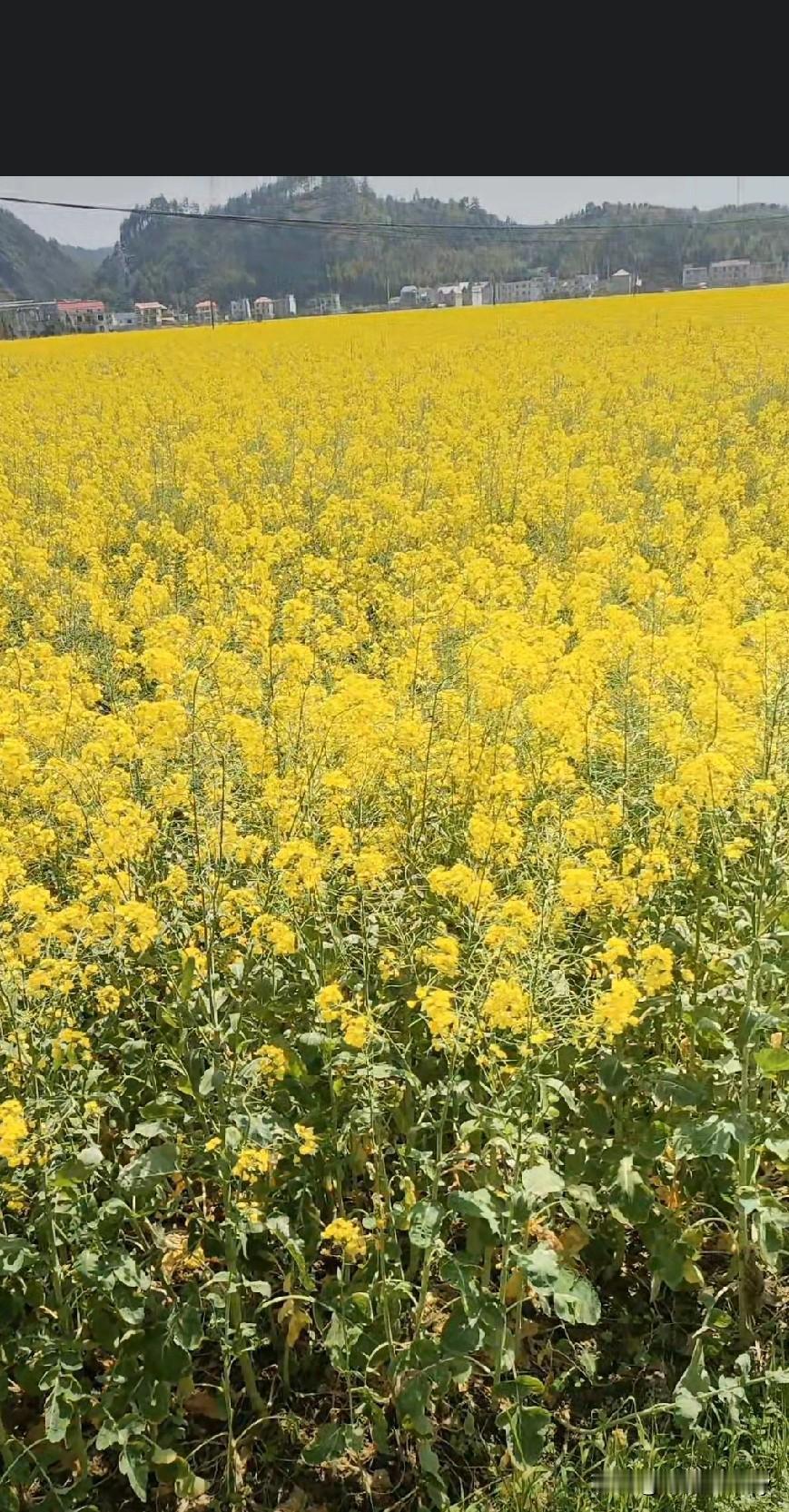 很多人都问，努力就一定能活成自己喜欢的样子吗？其实答案很现实：努力不一定立刻如愿