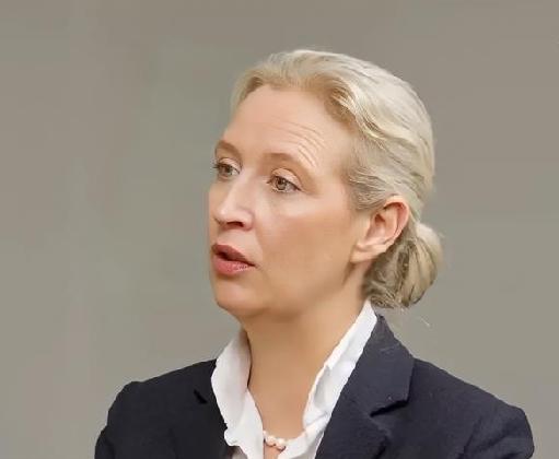 魏德尔：
在德国的超过一百万乌克兰人正在领取福利救济。这实际上令人难以置信，而且