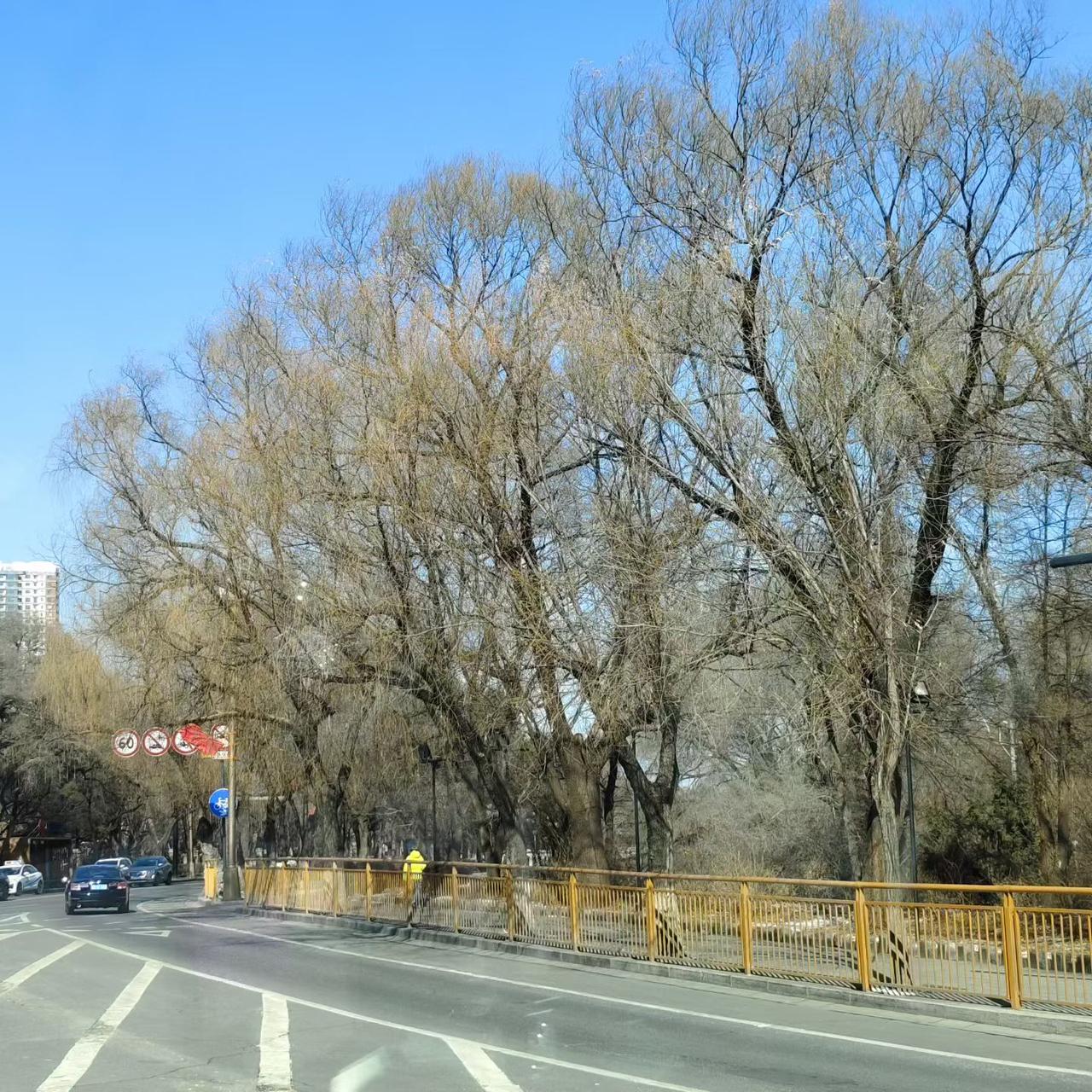 与痛风斗争的历程172
 
    今天是周日，难得赖在床上不想起身，将近七点半