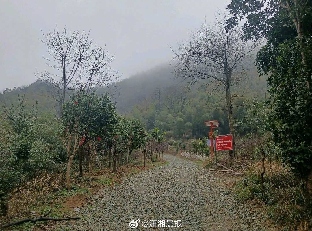 【#网友称在长沙网红爬山地发现响尾蛇#？专家辨认系有毒的短尾蝮，当地提醒：不要随