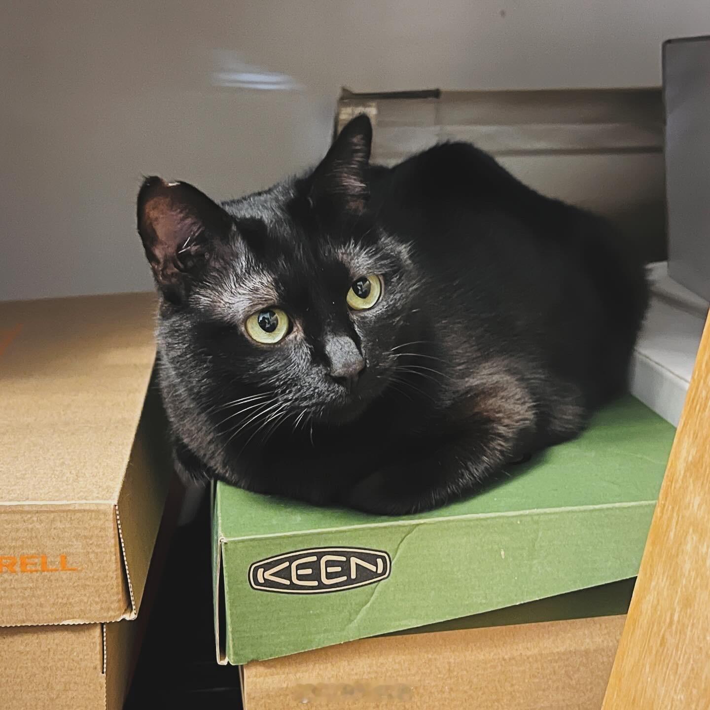 🦐3.45kg ​​​