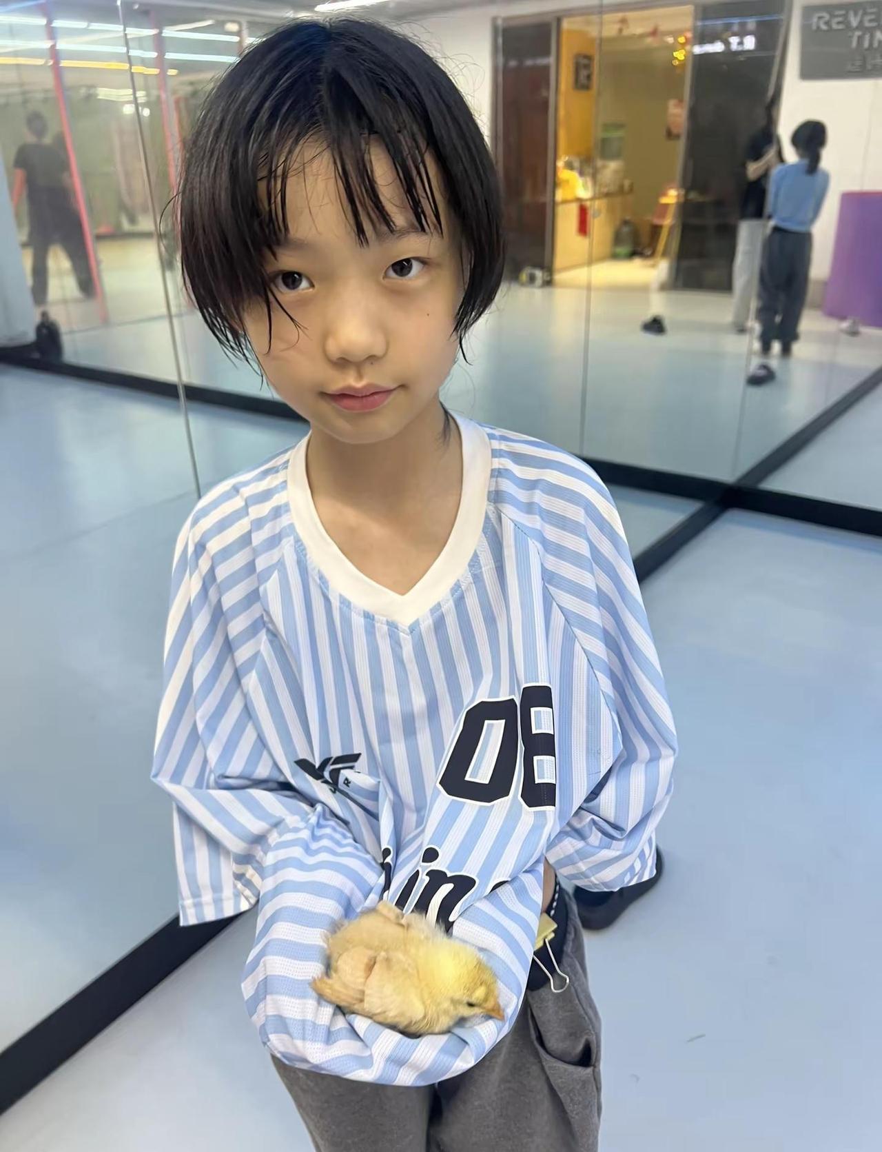 广州热到离谱，小鸡活不过五天😭