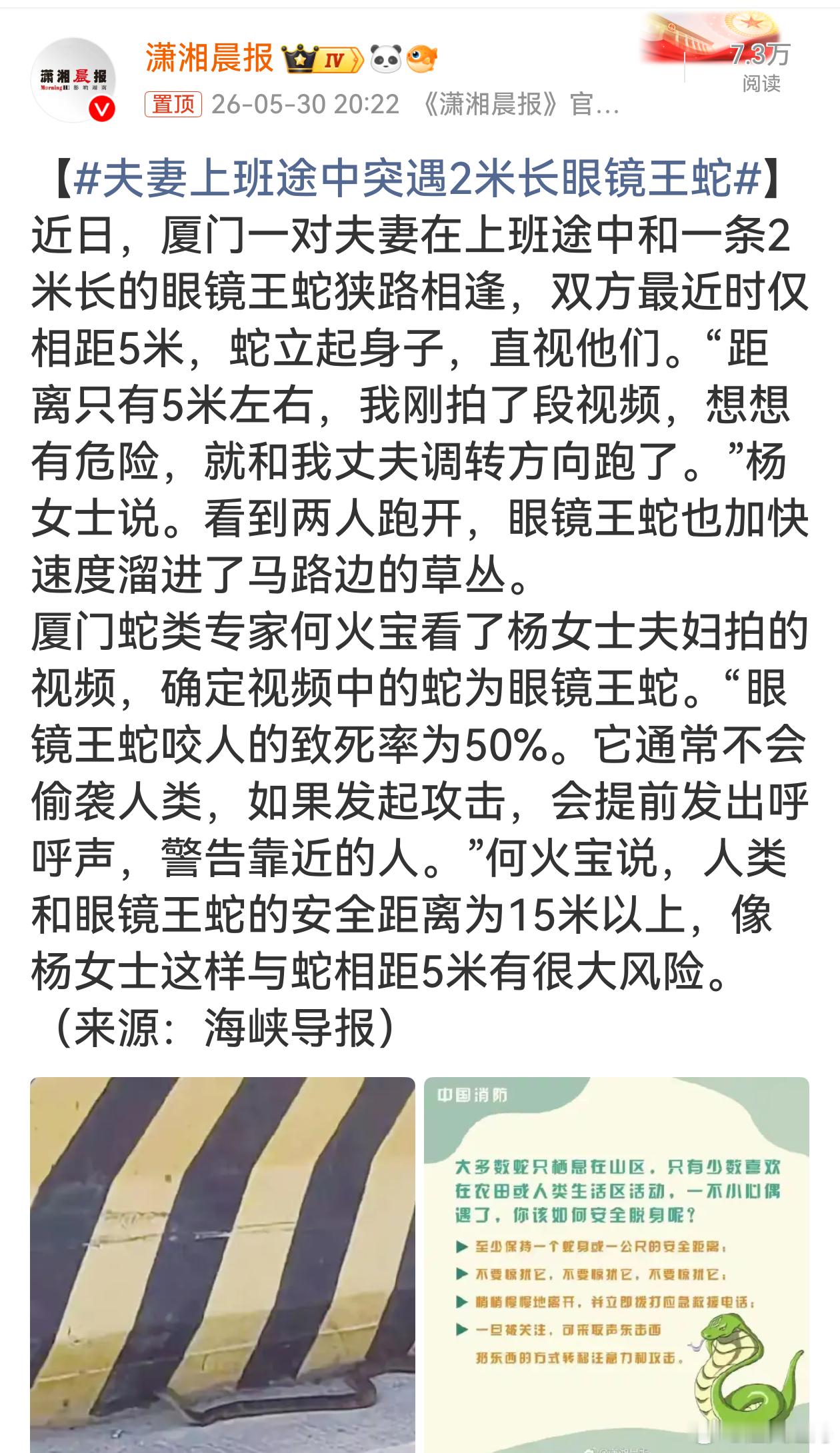 夫妻上班途中突遇2米长眼镜王蛇夏天路边草丛真不能大意，出门通勤多留意路边，谁能想
