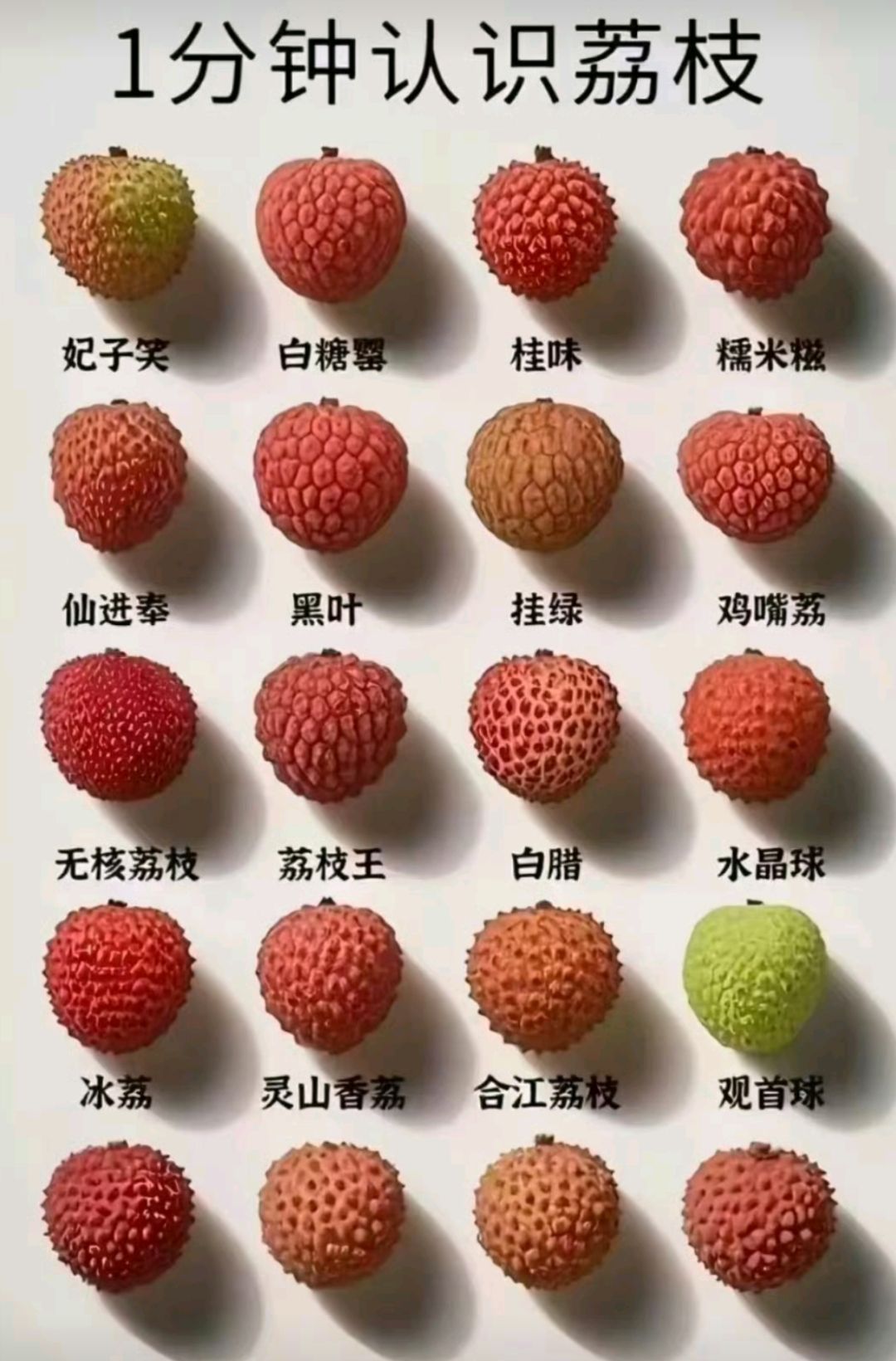 认识一下荔枝，你认识几种？ ​​​