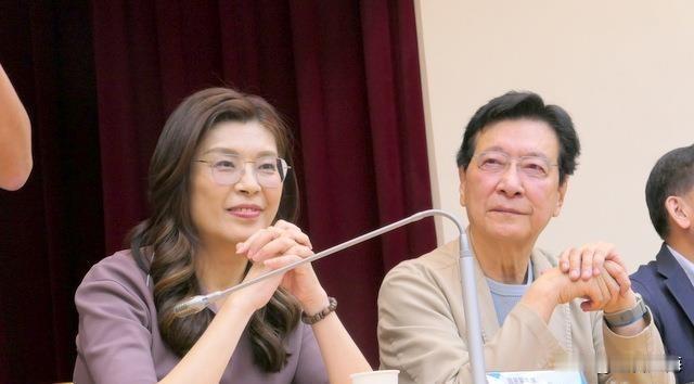 郑丽文、赵少康同框相拥，两人在场互动热络，“战斗蓝”要归队了？

众所周知，自从