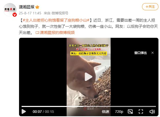“笑不活了！”浙江，狗主人需要出差一周，担心饿到狗子，灵机一动，竟然选择一次性倒