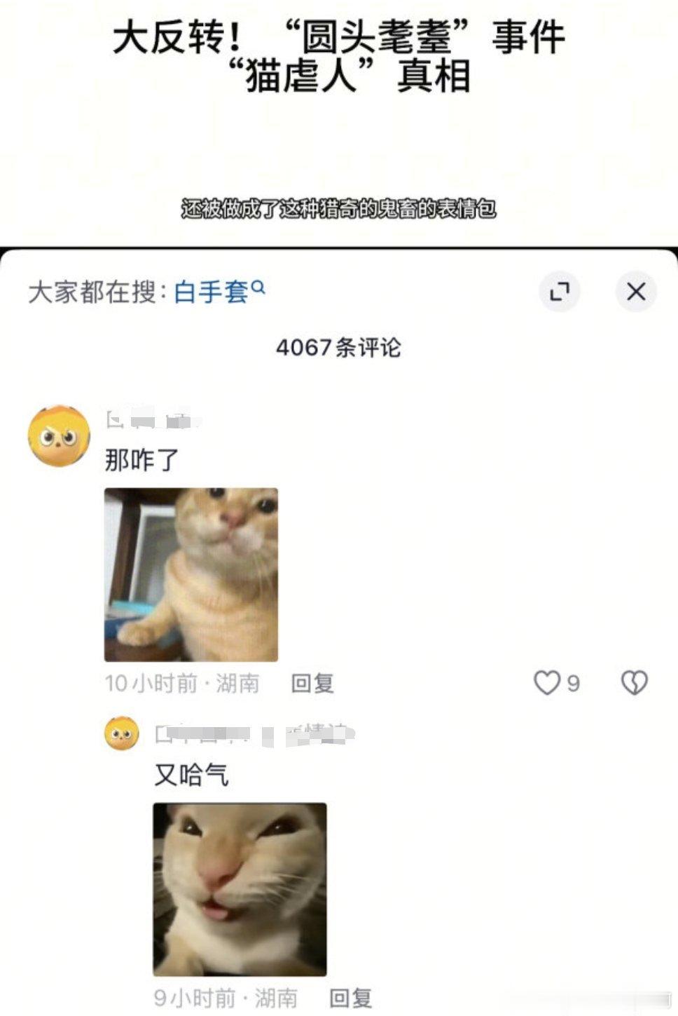 【此人】澄清耄耋视频下面抖机灵像听不懂人话一样2128 