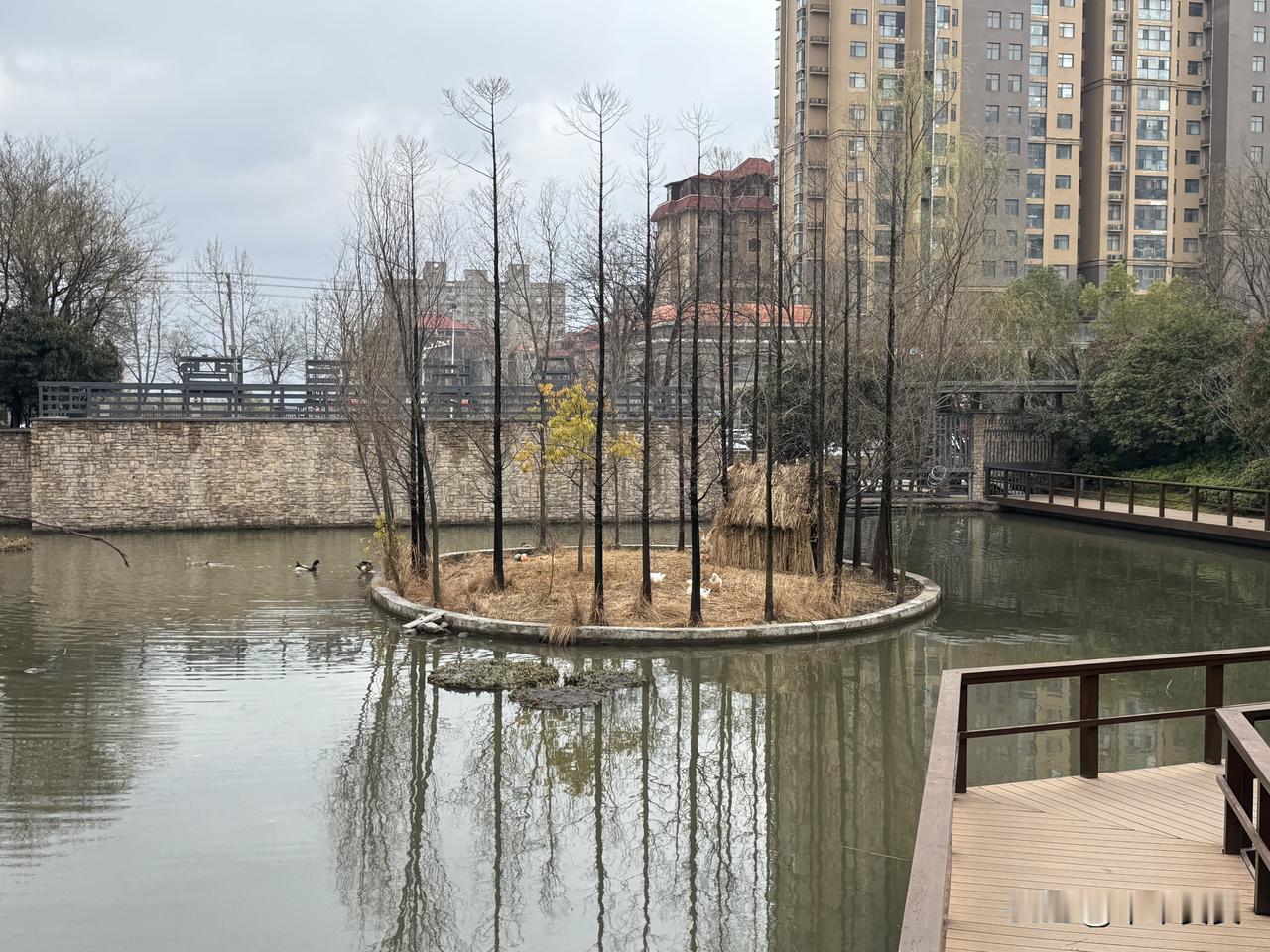 湖心小筑

午后的风带着微凉，我沿着木栈道慢慢走，目光被湖心那片小小的天地牵住。