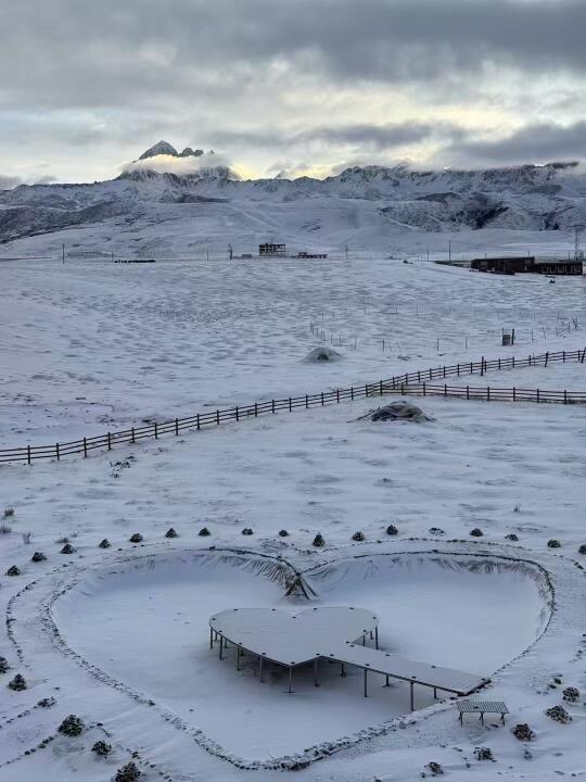 川西又悄悄下雪了，塔公草原3.13实况