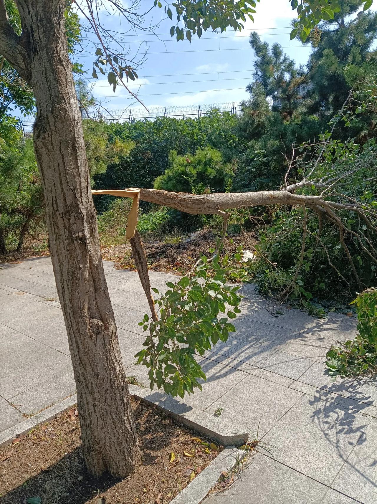 下雨3天也窝了3天没捞着出门的狗子急得上蹿下跳的了。
领出去晒太阳，我们迎着西北