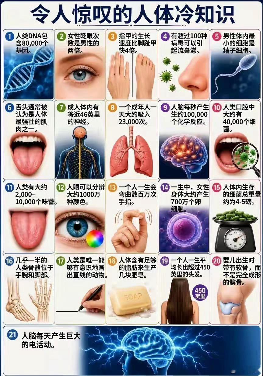 令人惊叹的人体冷知识 