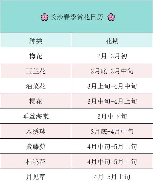 2026长沙早春赏花全指南 花开满城 赴一场春日限定浪漫
 
2026年长沙早春