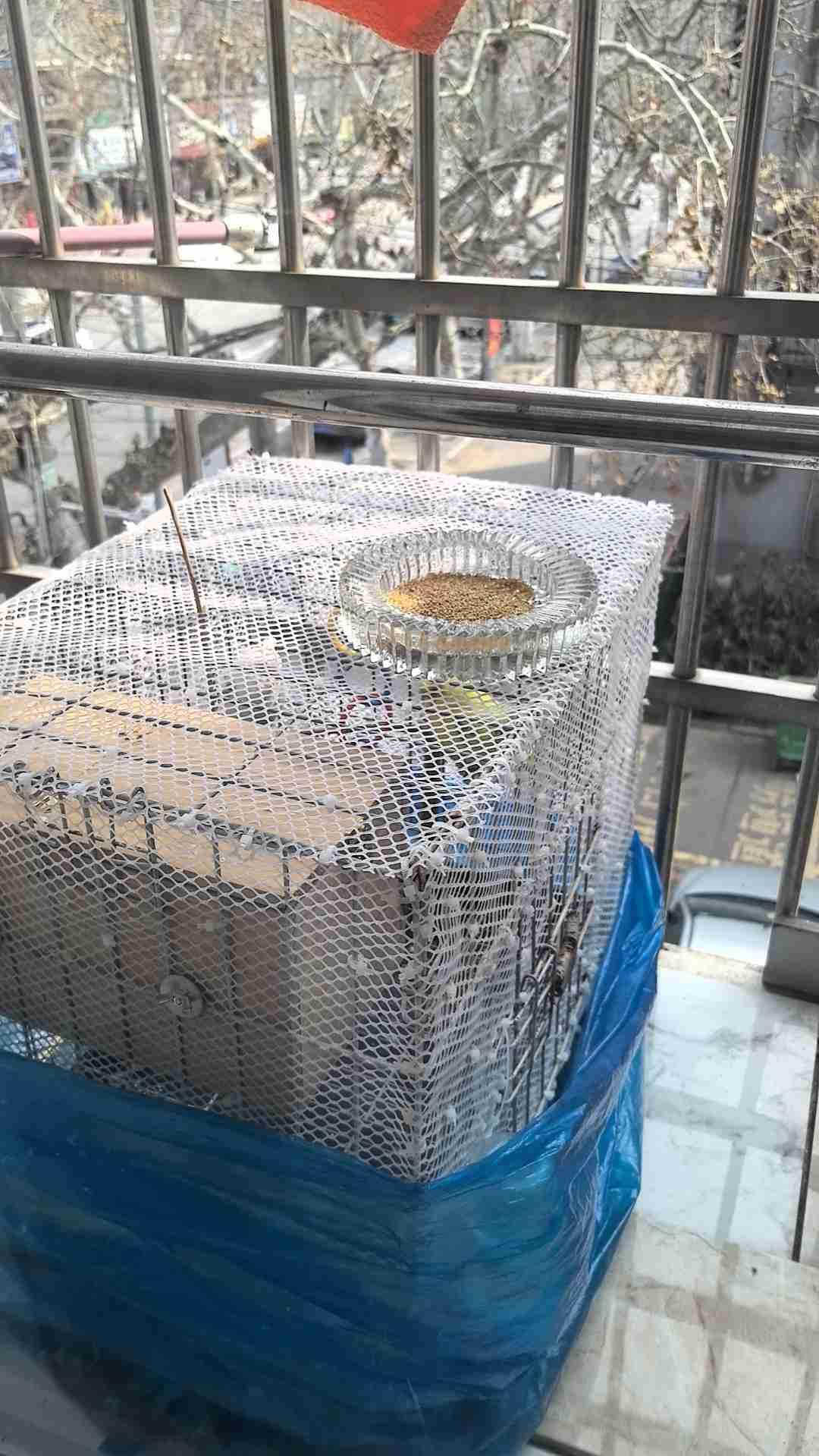 我的今日状态：😁轻松愉快
我这里的天气：☀️晴天